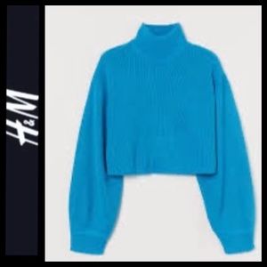 NWOT H&M Crop Turtleneck Ribbed Sweater